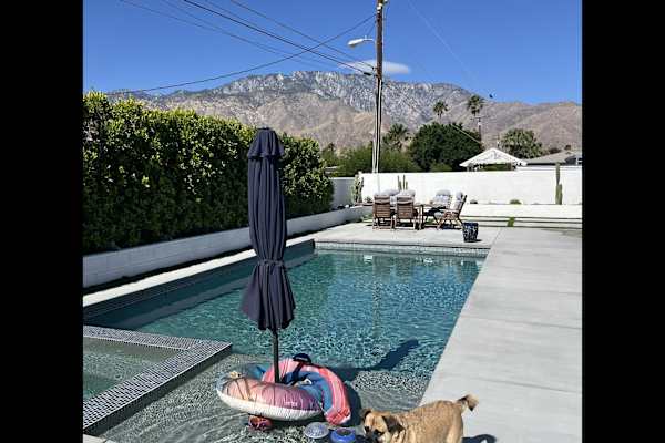 House sit in Palm Springs, CA, US