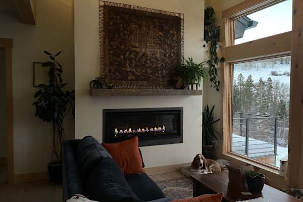 House sit in Silverthorne, CO, US