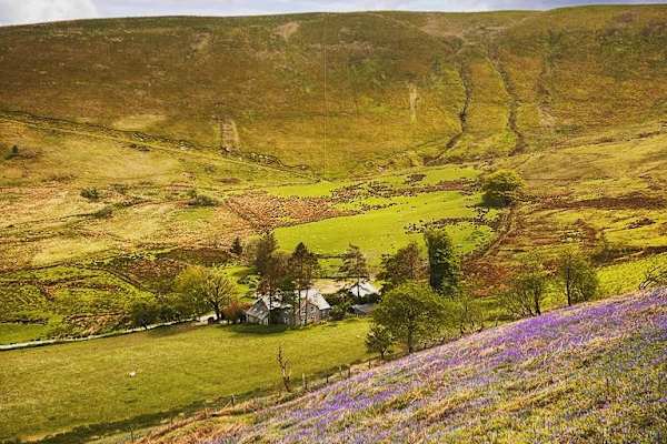 House sit in Corwen, United Kingdom