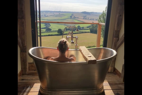 House sit in Ideford, United Kingdom