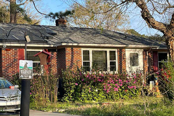 House sit in Charleston, SC, US