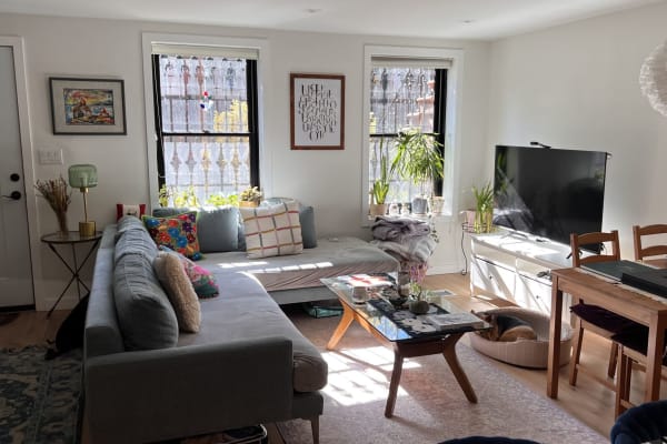 House sit in Brooklyn, NY, US