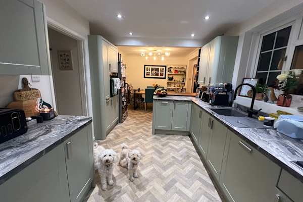 House sit in Christchurch, United Kingdom