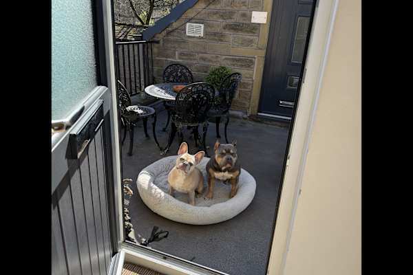 House sit in Holmfirth, United Kingdom