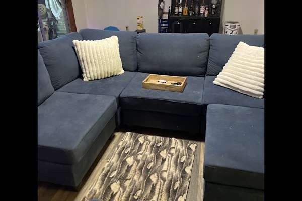 House sit in Sarasota, FL, US