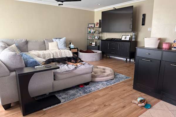 House sit in Torrance, CA, US