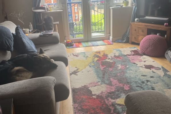 House sit in Rochester, United Kingdom