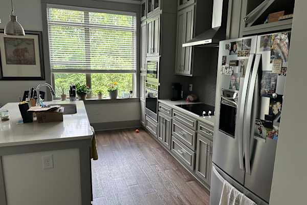 House sit in Chantilly, VA, US