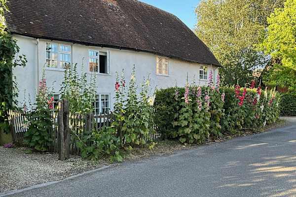 House sit in Dorchester on Thames, United Kingdom