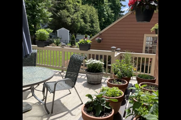 House sit in Lynnfield, MA, US