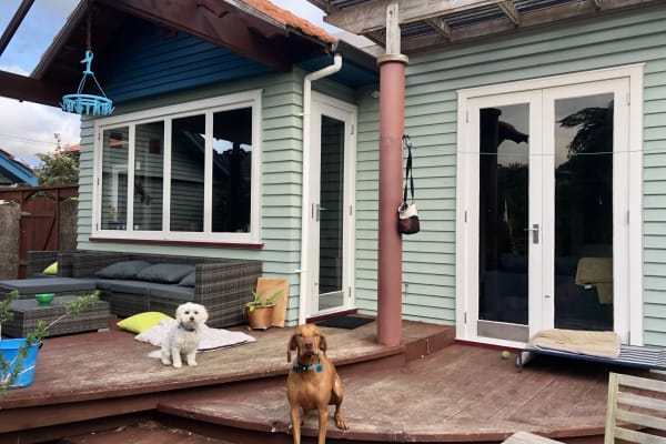 House sit in Lower Hutt, New Zealand