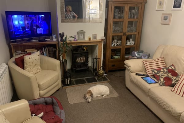 House sit in Redruth, United Kingdom