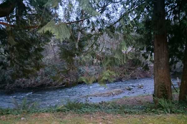 House sit in Issaquah, WA, US