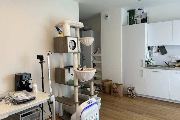 House sit in Łódź, Poland