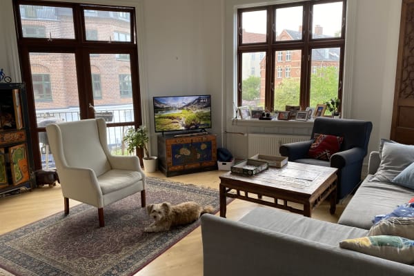 House sit in Copenhagen, Denmark