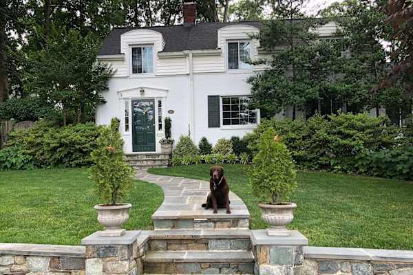 House sit in Alexandria, VA, US