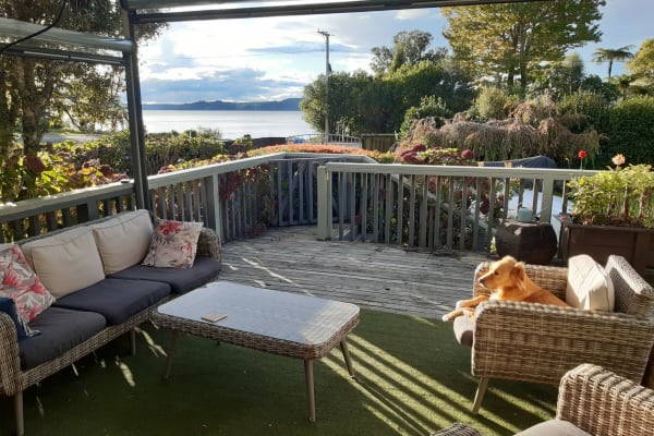 House sit in Rotorua, New Zealand