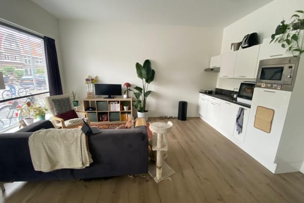 House sit in Groningen, Netherlands