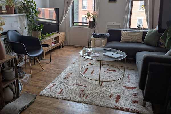 House sit in Brooklyn, NY, US