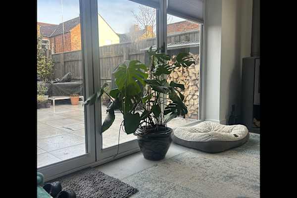 House sit in Hunstanton, United Kingdom