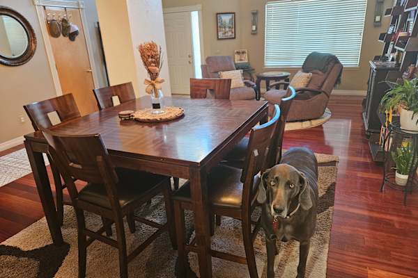 House sit in Colorado Springs, CO, US