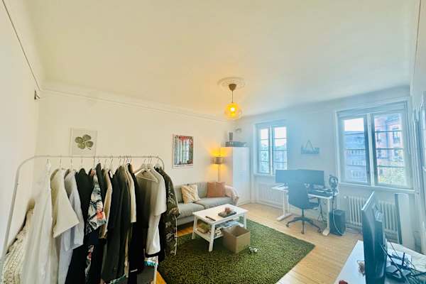 House sit in Malmö, Sweden