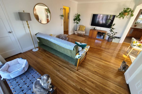 House sit in Long Beach, CA, US