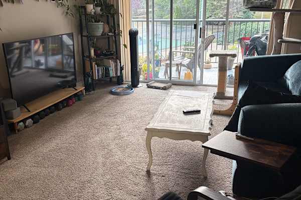 House sit in Victoria, BC, Canada