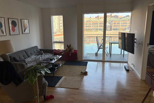 House sit in Copenhagen, Denmark