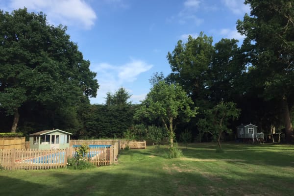 House sit in Chobham, United Kingdom