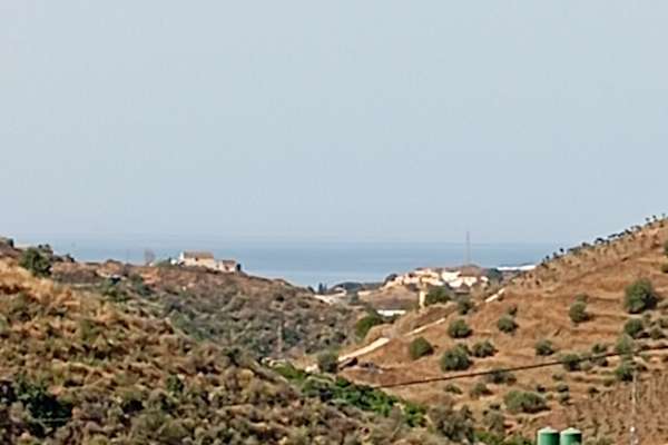 House sit in el Morche, Spain