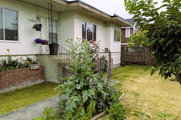 House sit in Richmond, BC, Canada