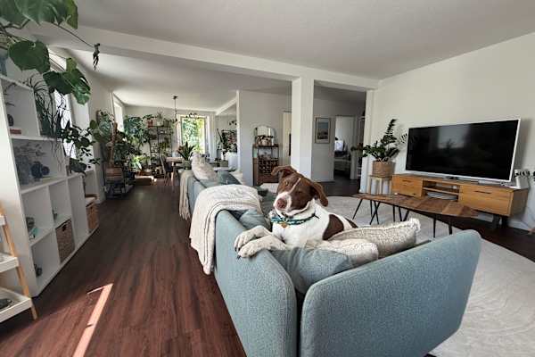 House sit in Luzern, Switzerland