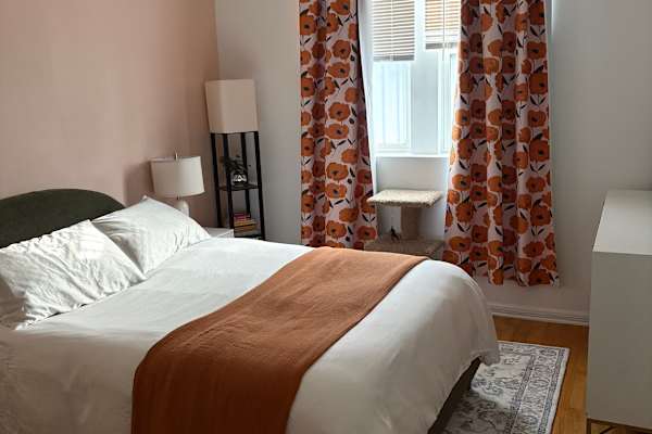 House sit in Chicago, IL, US