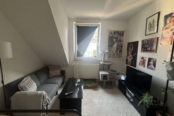 House sit in Wuppertal, Germany