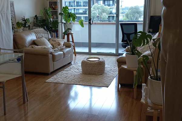 House sit in Canberra, Australian Capital Territory, Australia