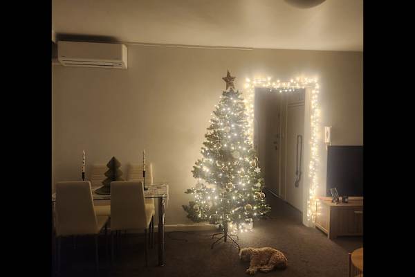 House sit in Melbourne, VIC, Australia