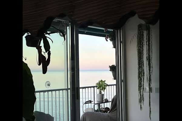 House sit in Cullera, Spain