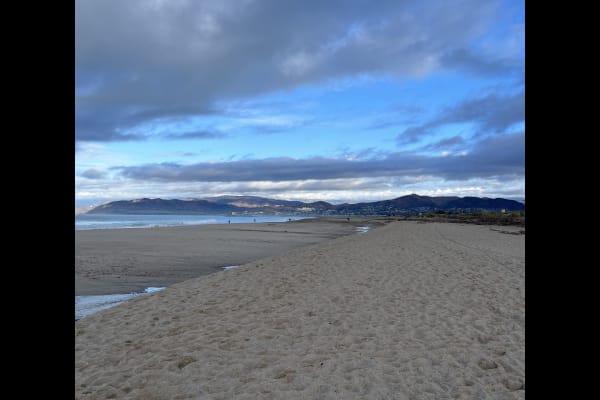 House sit in Ventura, CA, US