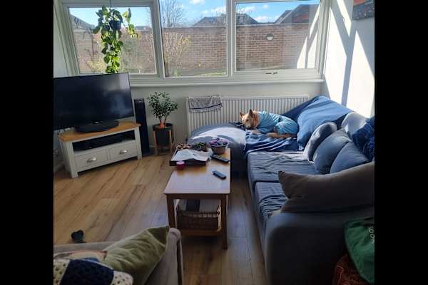 House sit in Snaresbrook, United Kingdom
