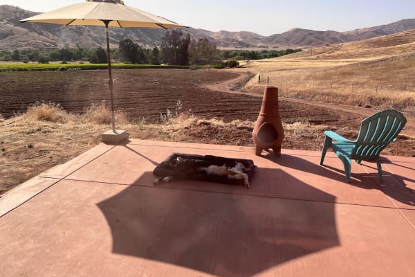 House sit in Lemon Cove, CA, US