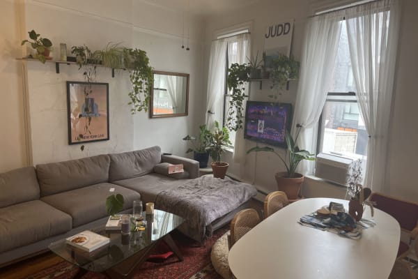 House sit in Manhattan, NY, US