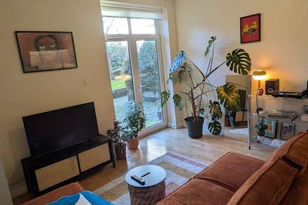 House sit in Dublin, Ireland