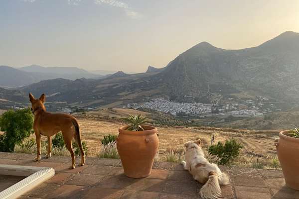 House sit in Valle de Abdalagís, Spain