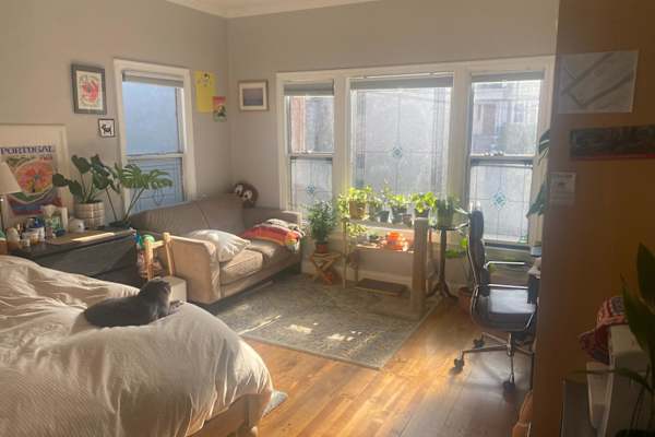 House sit in Oakland, CA, US