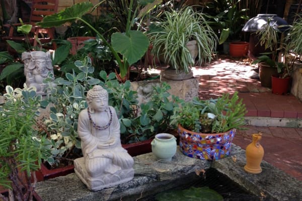House sit in South Fremantle, WA, Australia