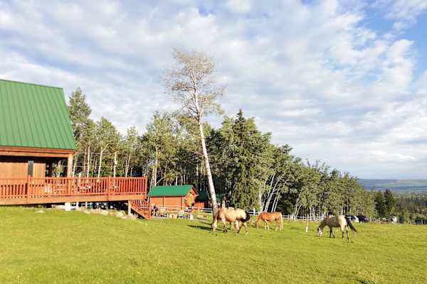 House sit in 100 Mile House, BC, Canada