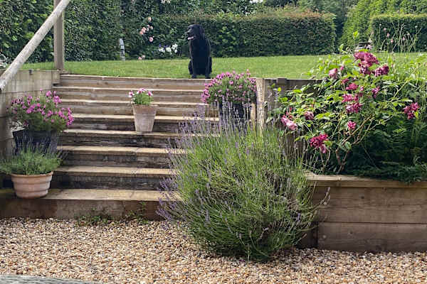 House sit in Redlynch, United Kingdom