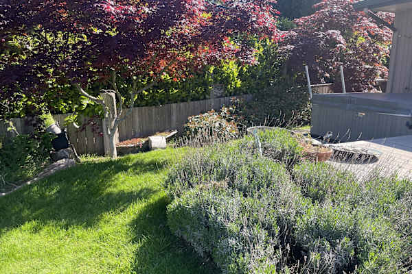 House sit in Anacortes, WA, US