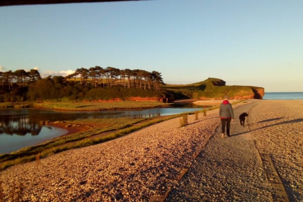 House sit in Budleigh Salterton, United Kingdom